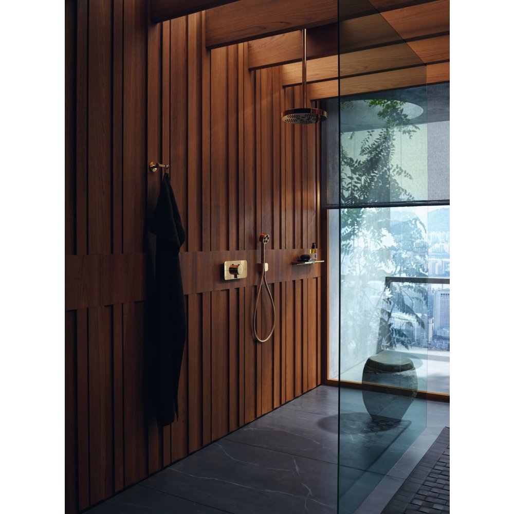 Крючок для полотенца Axor Universal Circular, двойной, 42812140, шлифованная бронза