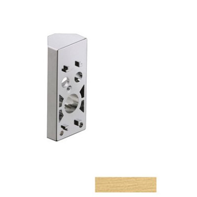 Угловой монтажный набор Axor Uno, для душевой стойки, 28693250, шлифованное золото